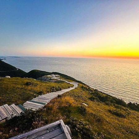 Skyline Cabins 인고니시 외부 사진